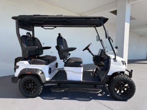 White Contender Sport XL4 Street Legal Golf Cart